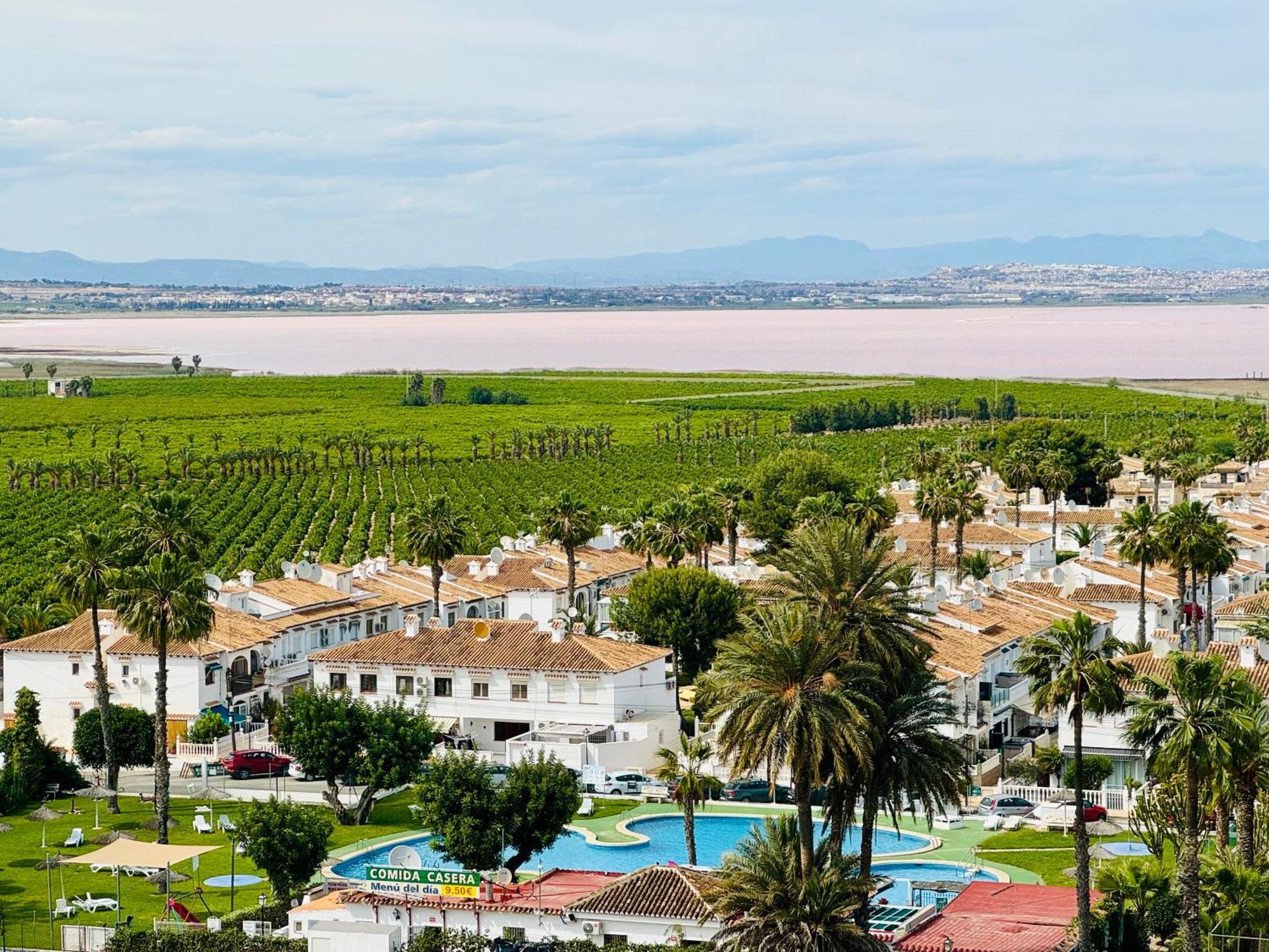 Agua Rosa Torrevieja