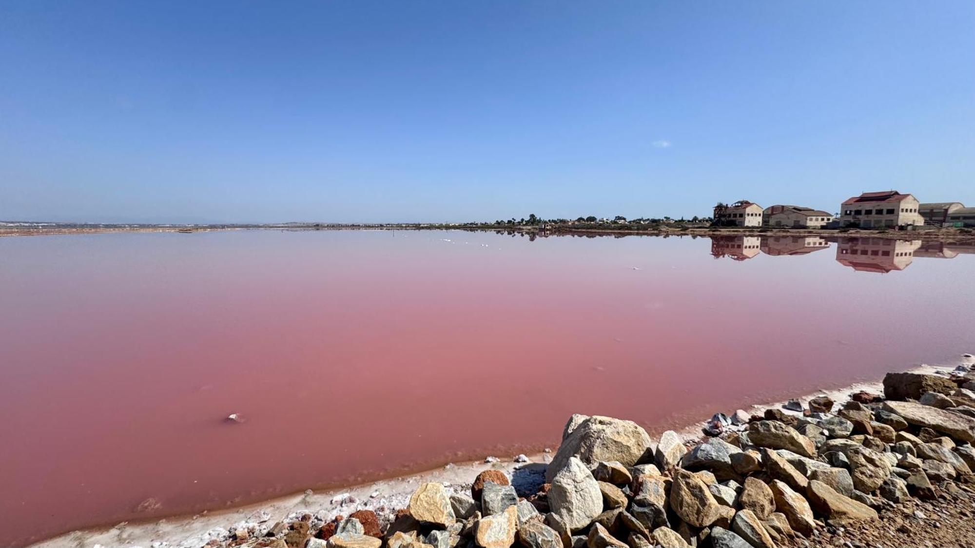 Agua Rosa * Torrevieja